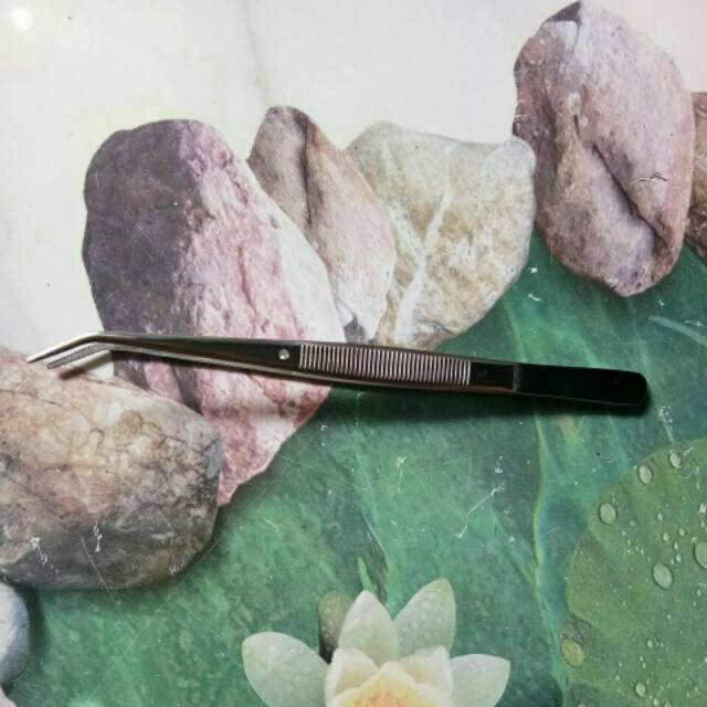 PINSET / PENJEPIT BEHEL