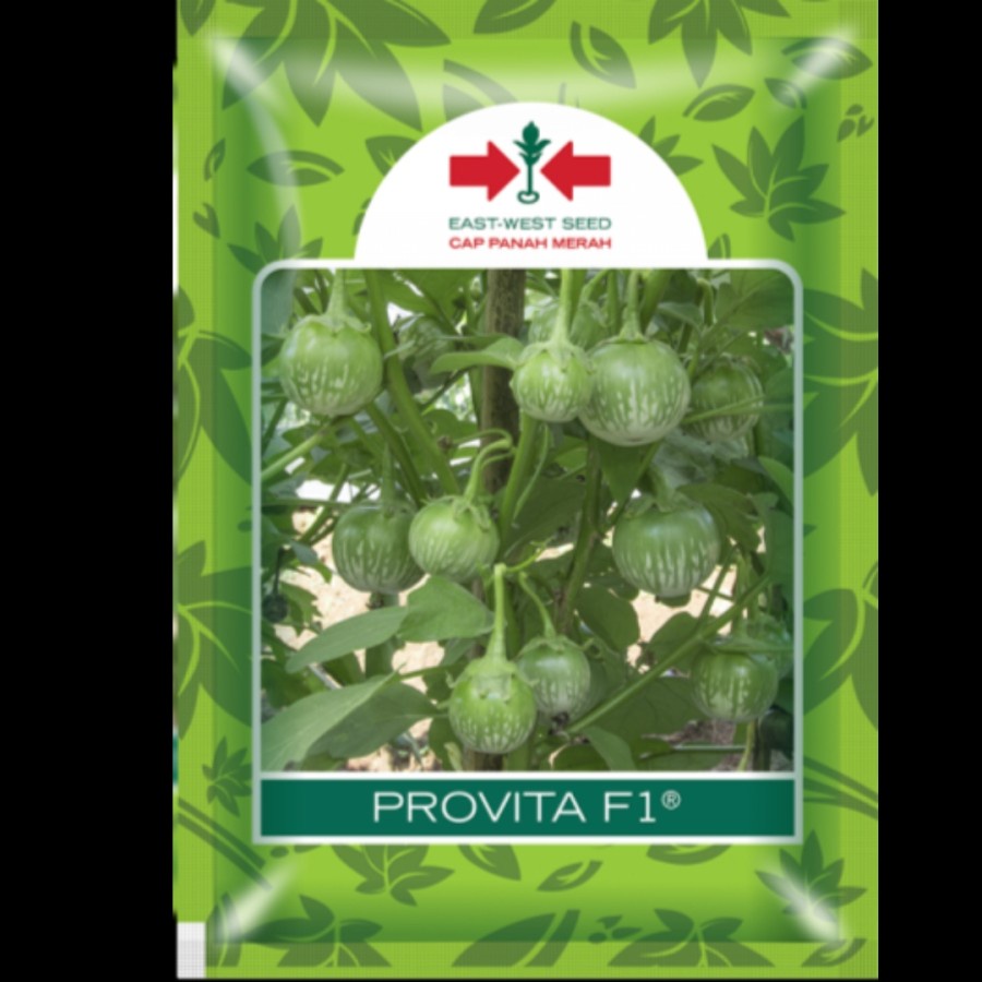 BENIH SEED BIJI BIBIT TERONG LALAP HIJAU BULAT PROVITA