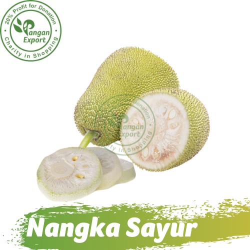 

Nangka Sayur Jackfruit / Buah Bumbu Sayur Masak Dapur by Pangan Export