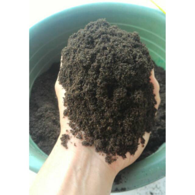 Pupuk Hijau / Kompos / Hidroponik / Pupuk Organik Azolla Microphylla Murni 100%