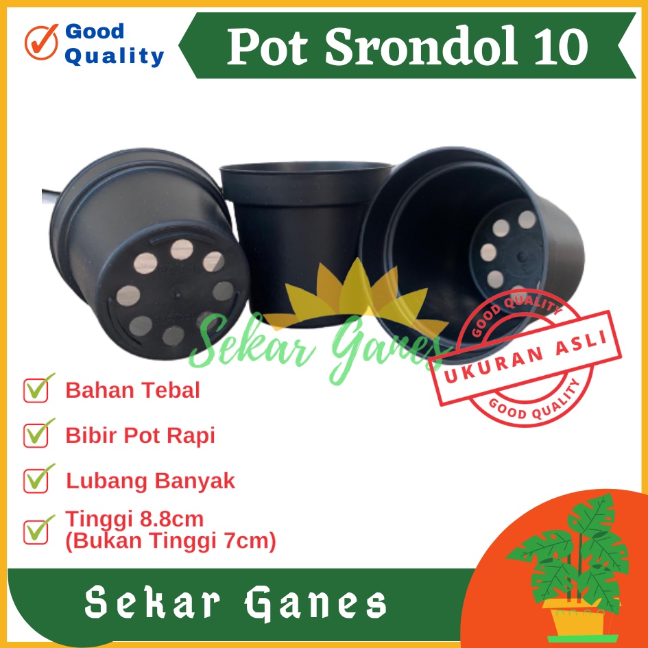 Pot 10cm Hitam Murah - Pot Bulat Mini Kecil Bisa Untuk Vas Bunga Pot 10 cm Hitam Polos Pot Tawon 10