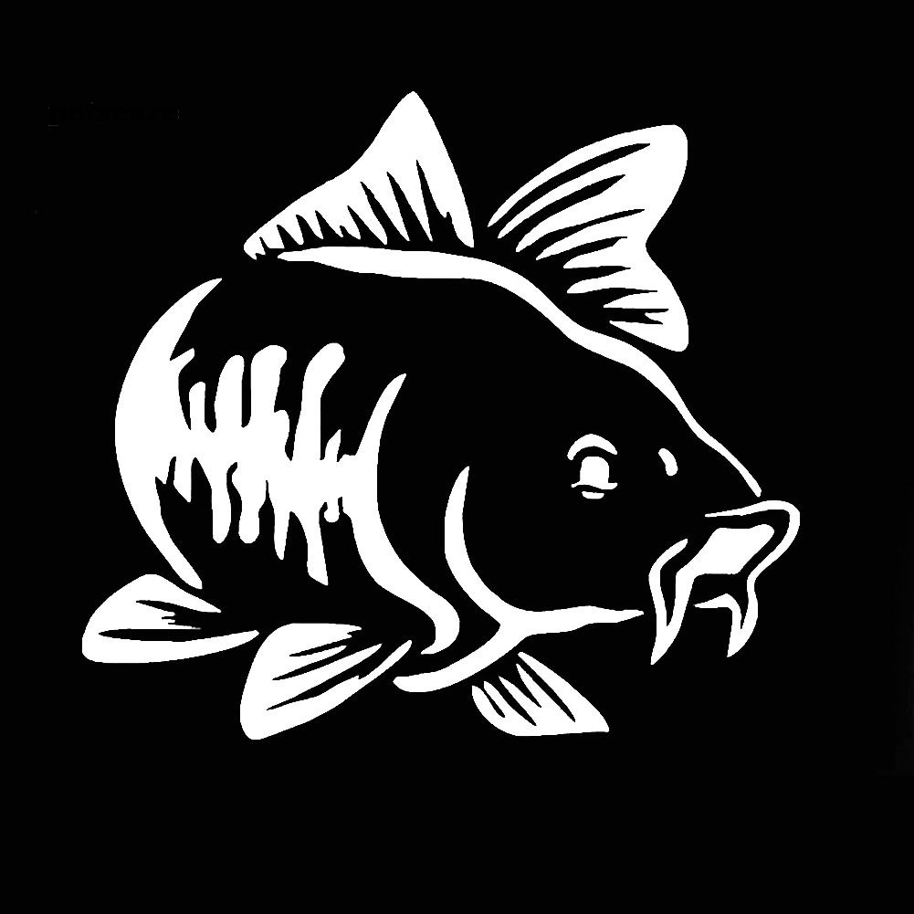 Stiker Reflektif Motif Ikan Kerapu Untuk Dekorasi Body Jendela Mobil Truk Shopee Indonesia