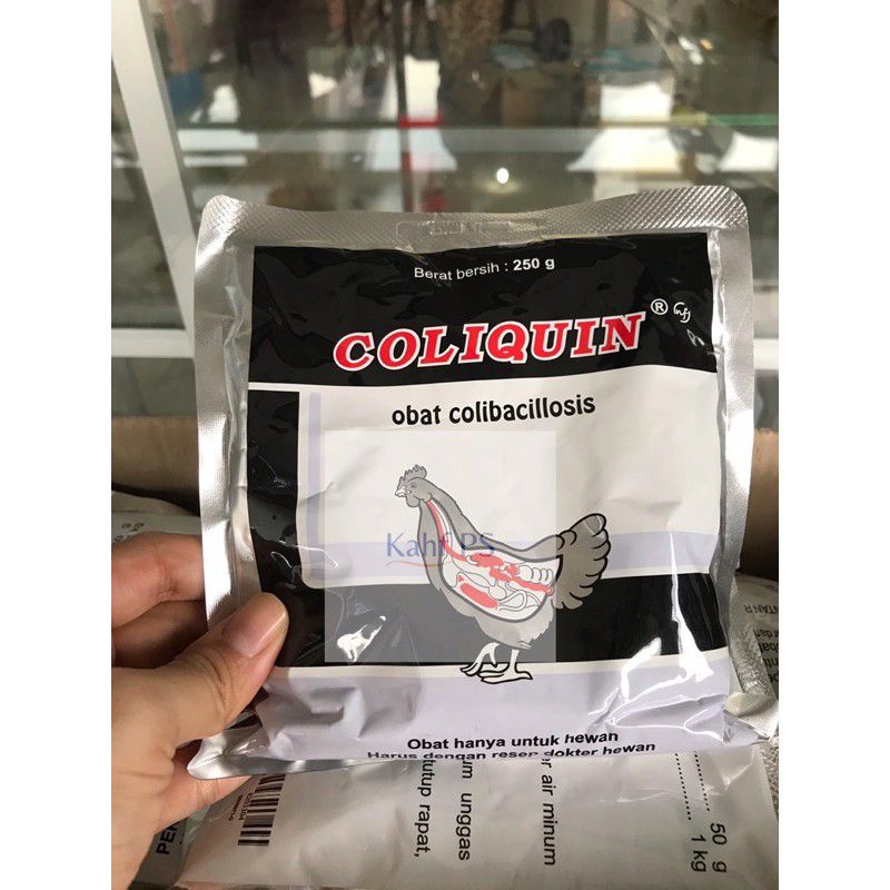 Coliquin 250 gram obat ayam