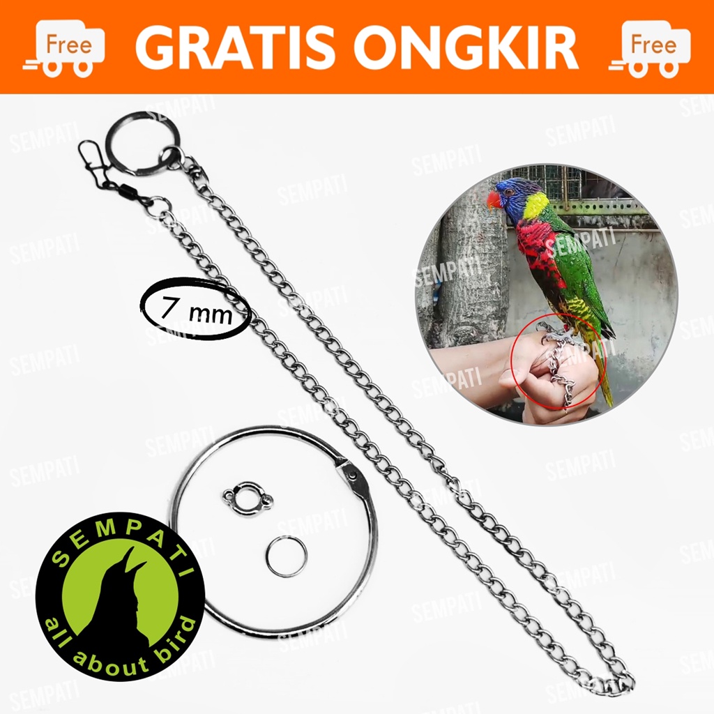 RANTAI KAKI BURUNG NURI PELANGI PUTER PELUNG TEKUKUR DERKUKU FULLSET GELANG RING BORGOL 7 MM FREE FLAYING FF RANTAI GELANG KAKI BURUNG PERKUTUT NURI HIJAU RANTAI TRAINING LATIH BURUNG KAKAK TUA KAKA TUA BEO MERPATI RTFL7M