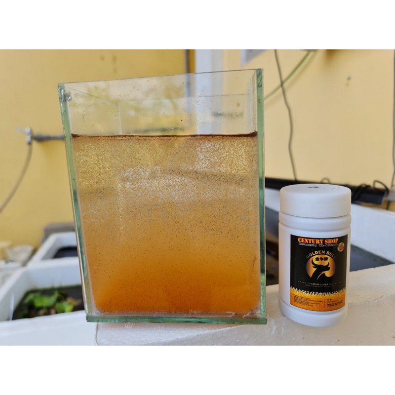 Artemia Golden Bull - 50 gr