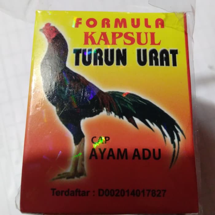 formula kapsul turun urat cap ayam adu