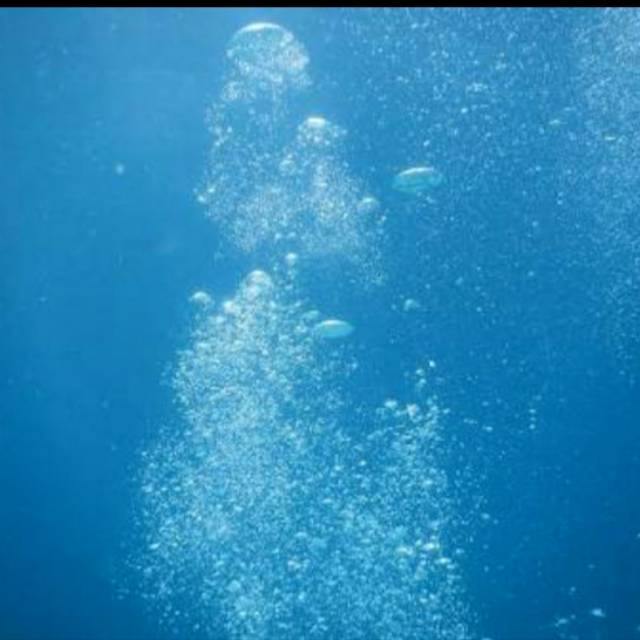 

Air Laut (Khusus Gojek dan Grab)