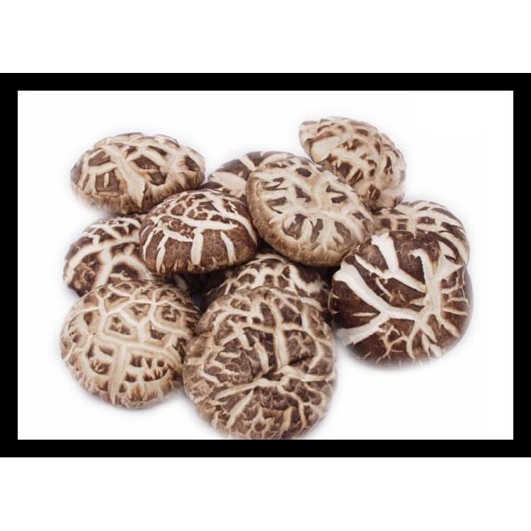 

Jamur Hioko - Shitake - Kering - Besar - Shiitake 500 Gr Murah