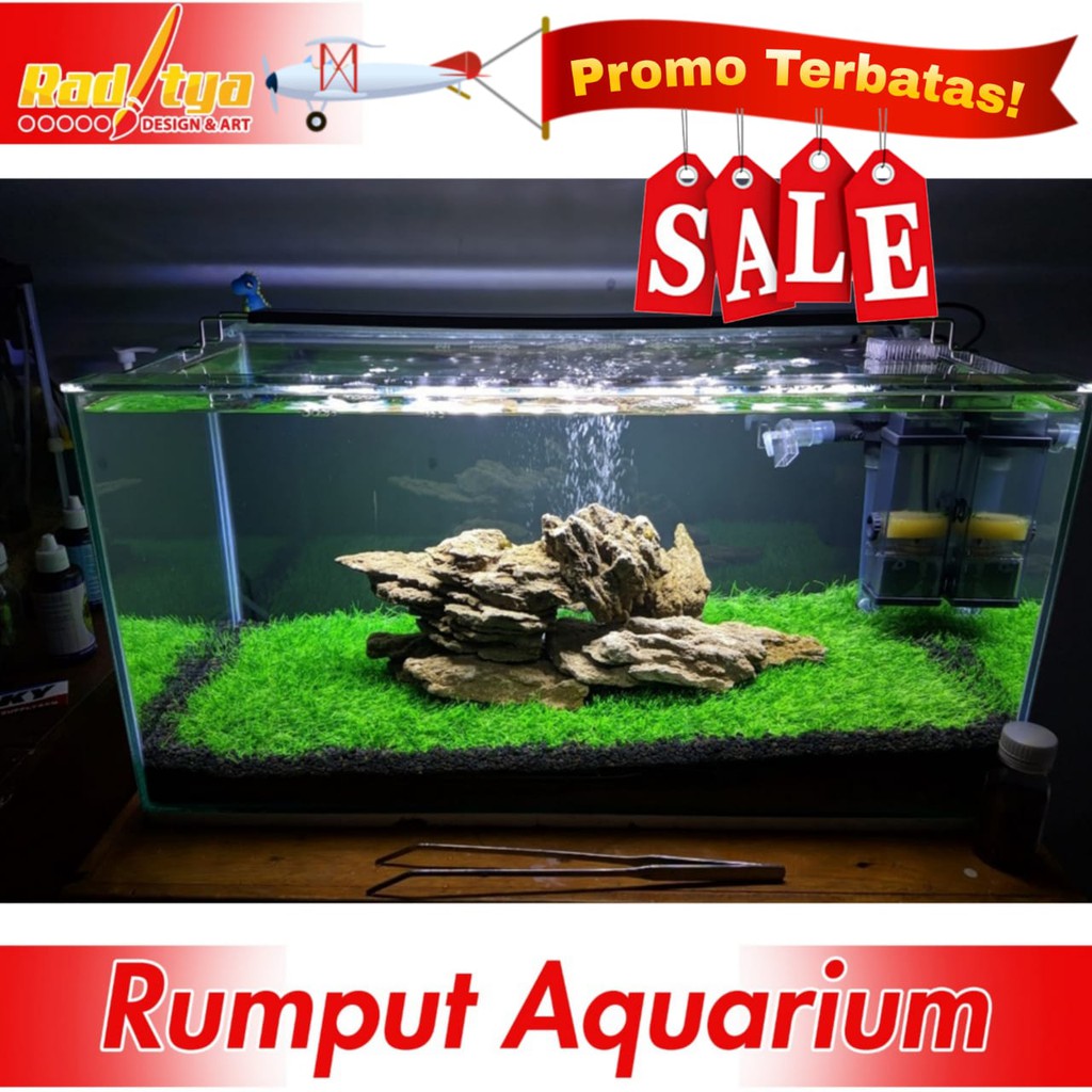 PROMO Rumput Sintetis Aquarium Tipe Swiss Stok Terbatas