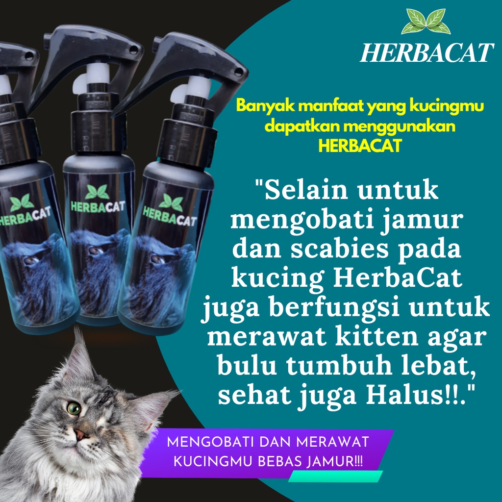 Obat Jamur Kucing Herbal Alami Mengatasi Scabies Ringworm Gatal Bulu Kucing HERBACAT Spray Aman Untuk Kitten Kucing hamil Menyusui Tanpa Efek Samping Bersihkan Jamur