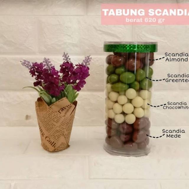 

Coklat Tabung Scandia