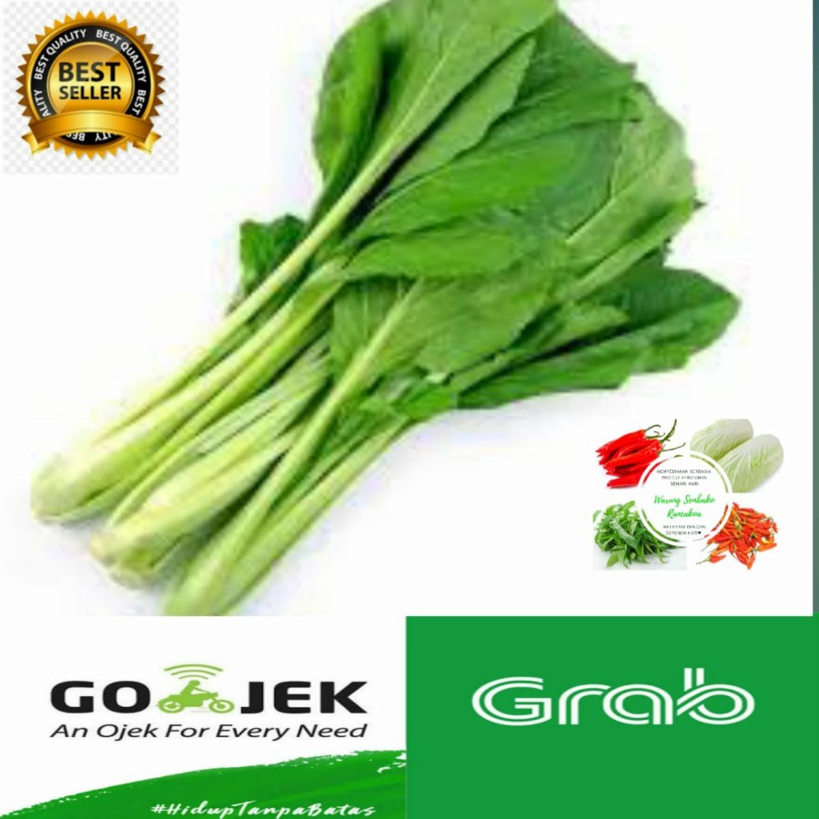

Sembako Bahan Masakan Sayuran Sosin Hijau Segar Fresh Murah 250 Gram - 1/4 kg