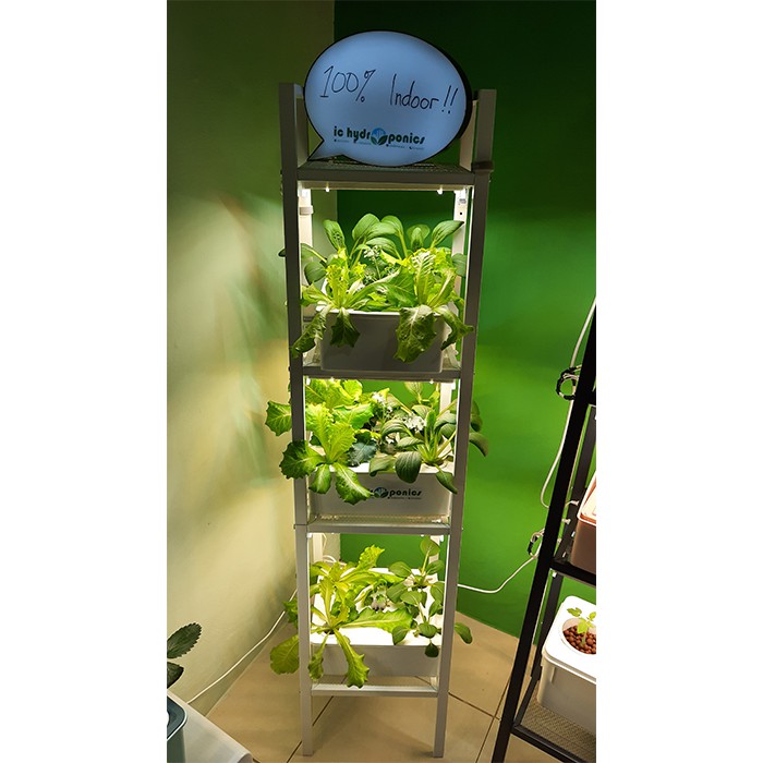 Hidroponik Indoor Set / Hydroponic Starterkit Growlight - BASWARA W15
