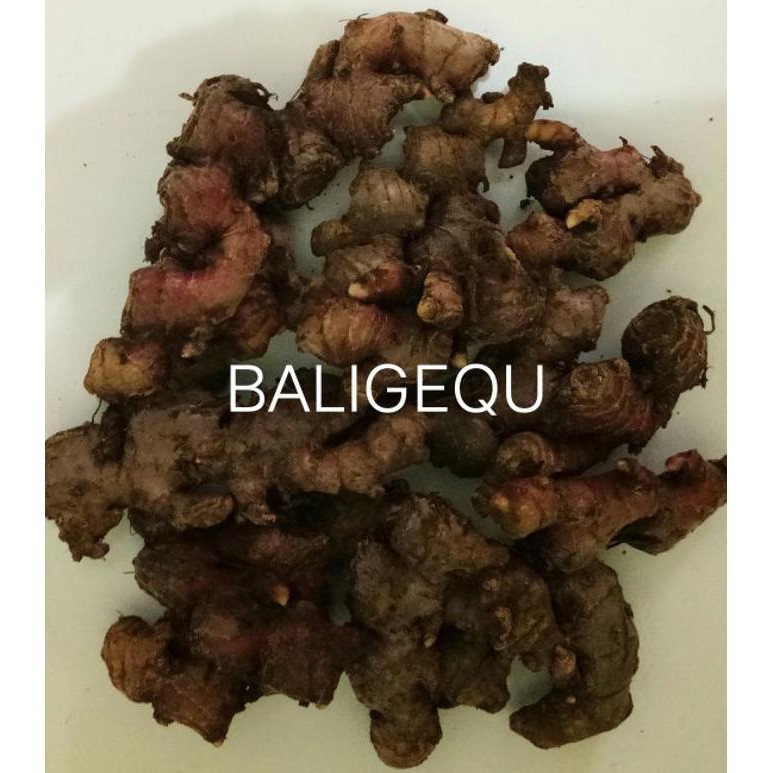 

[[BISA COD]] Jahe Merah Segar BOOM SALE Kode 1202