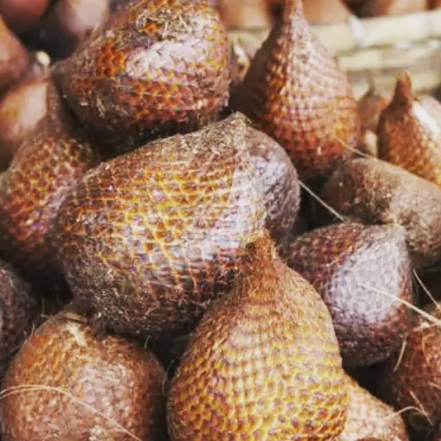

1000 gr Salak sibakkua khas padangsidimpuan