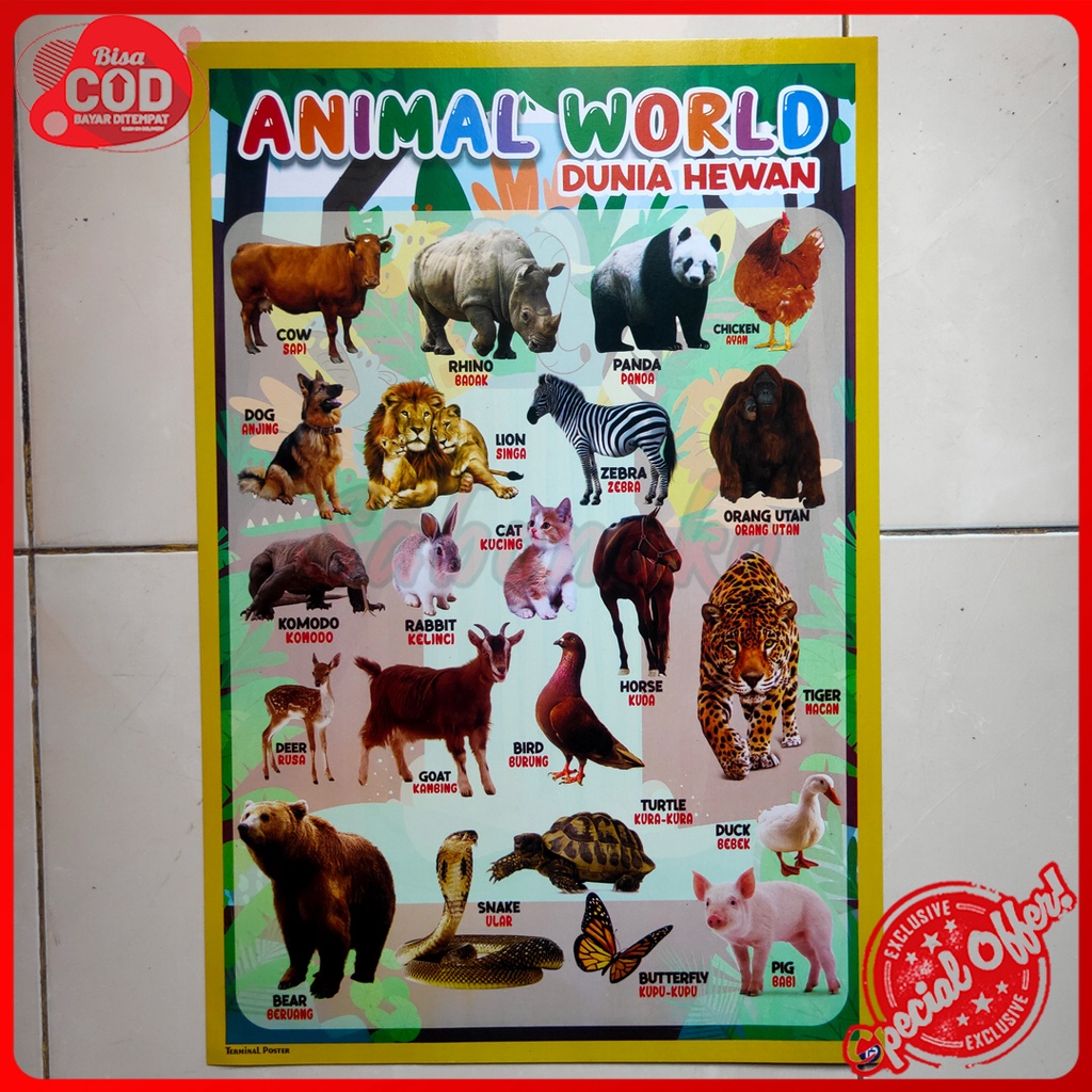Poster Aneka Binatang / Poster Edukasi untuk anak