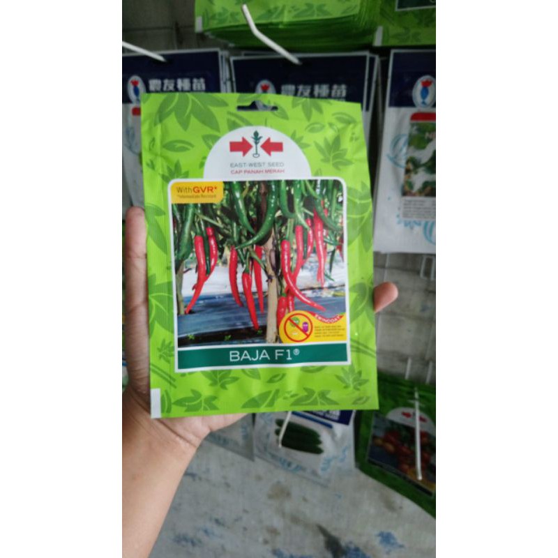 Benih Cabe Merah Besar BAJA F1 125BJ
