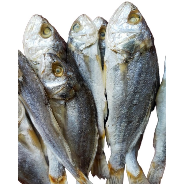 

Ikan asin Kepala Batu segar