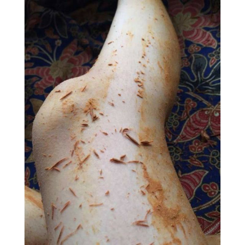 Lulur kayu bangkal 10gram / lulur badan / lulur rempah kayubangkal