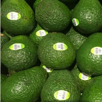 

Avocado Usa 600Gr