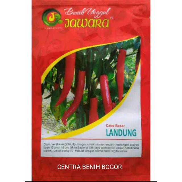 Biji Benih Cabe Merah Besar Super Unggul LANDUNG - Bibit Cabe Jawara