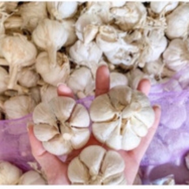 

bawang putih kating 1 kg murah surabaya