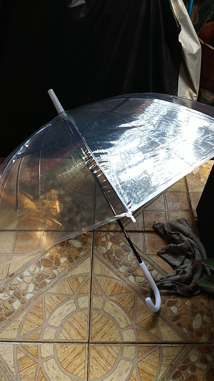 Tabasa Payung Transparan Korea Japanese Style