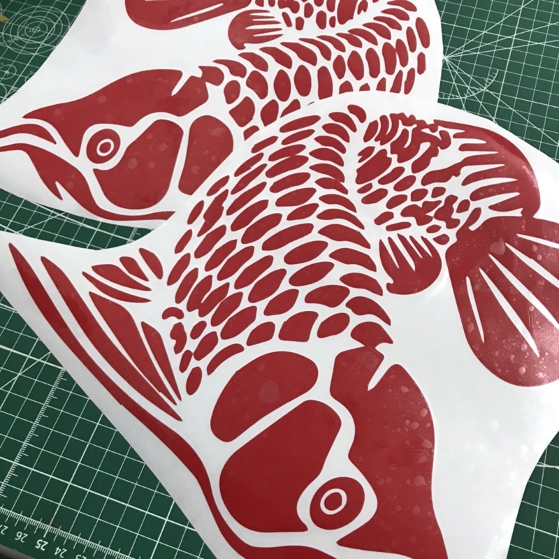 stiker aquarium ikan arwana