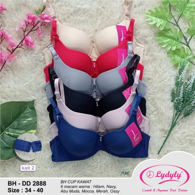 LYDYLY | BH BRA Push up Busa sedang Pakai KAWAT CUP A SETARA B BAHAN BABY SKIN LEMBUT