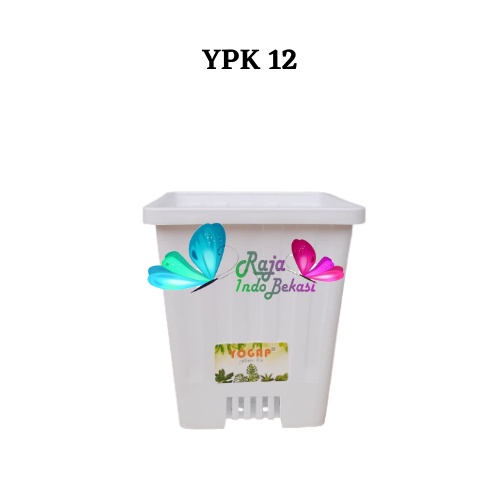 Pot Yogap Kotak 12 Putih Pot Yogap 10 13 15 17 18 19 25 30 Pot Yogap Lusinan Pot Kotak Panjang Kecil 8 Cm Tinggi Pot Segi Empat Hias Panjang Plastik