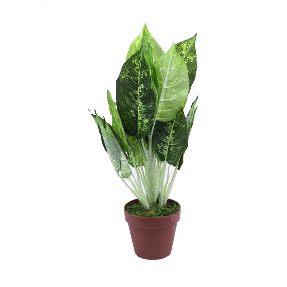 ACE Tanaman Artifisial Dieffenbachia SKU 241331