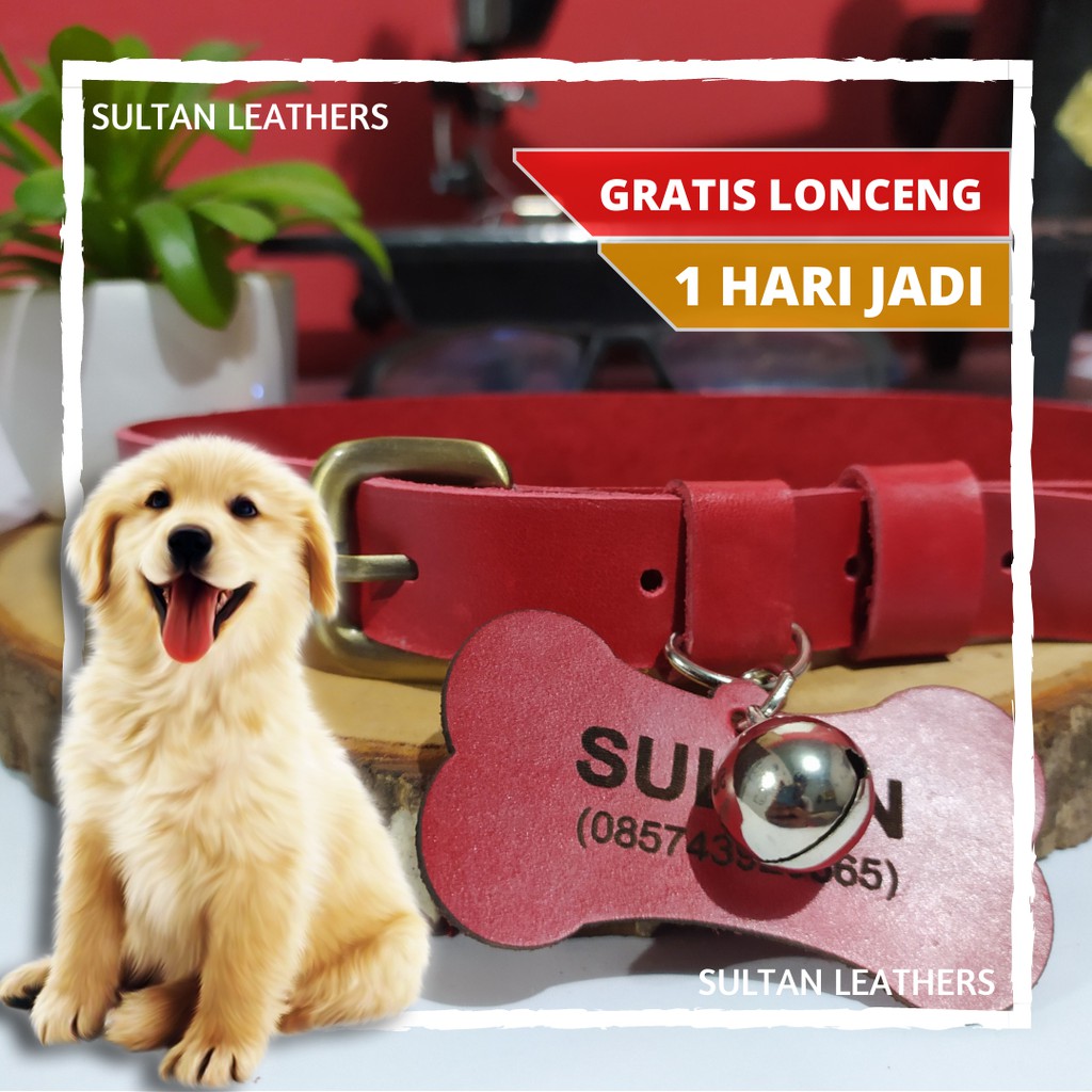 Kalung Anjing Puppy Kulit Asli Custom Nama Permanen / Kalung Anjing Custom Nama Bonus Lonceng