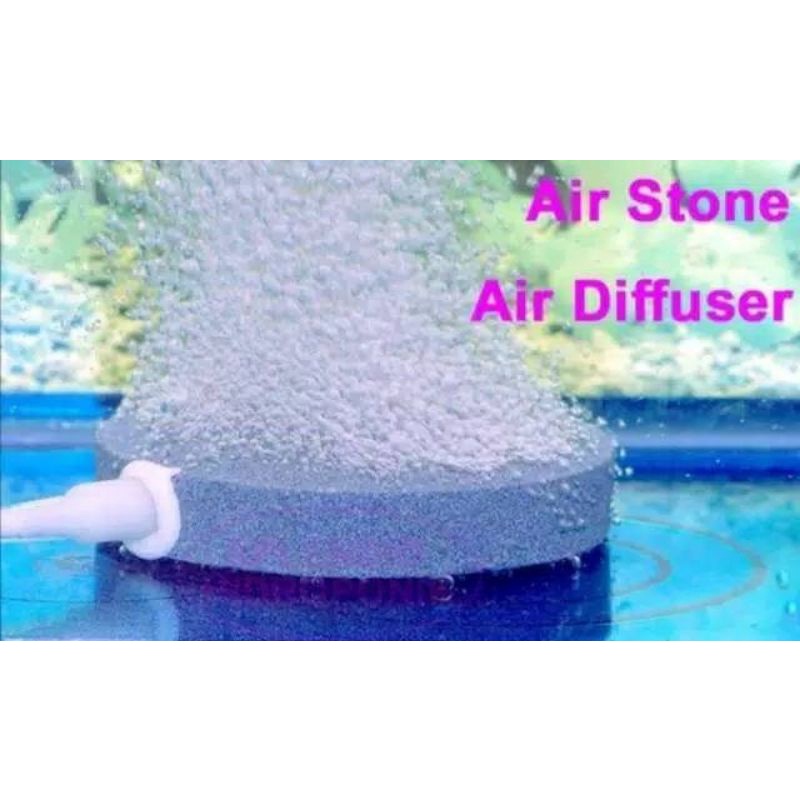 Batu aerator airstone lempeng SAKKAI PRO HA10040