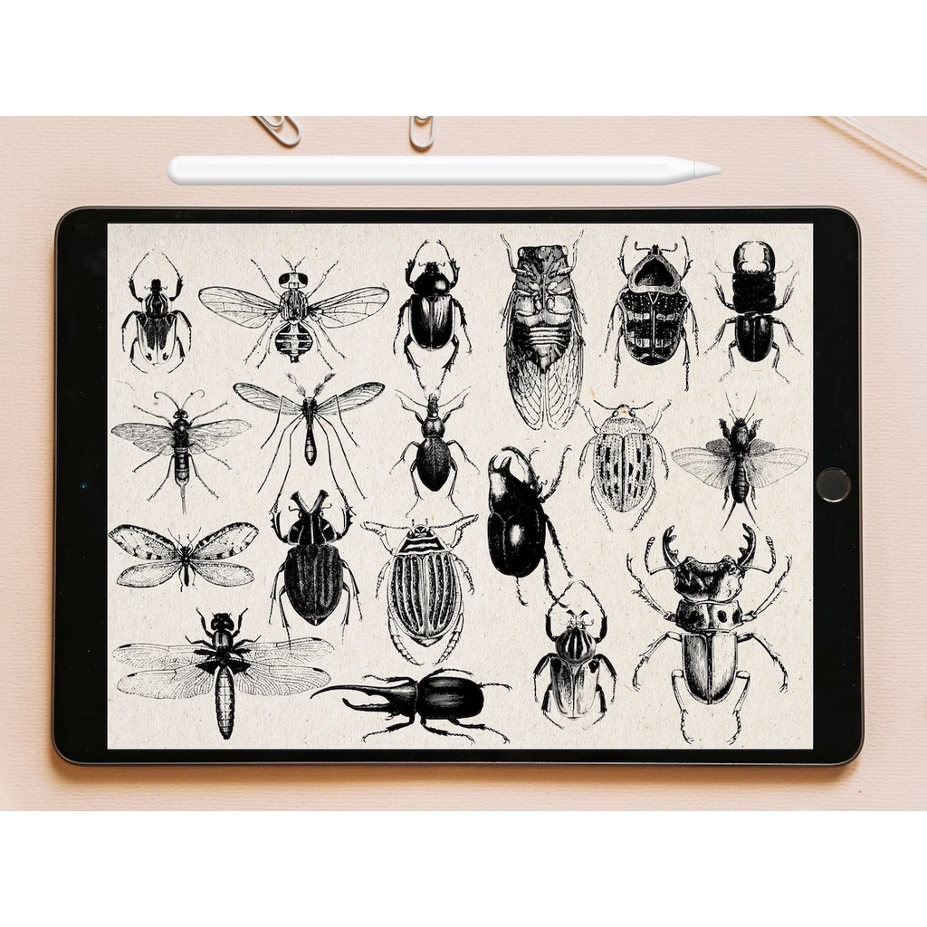 Procreate Brush - Insect Stamp Brushes for Procreate