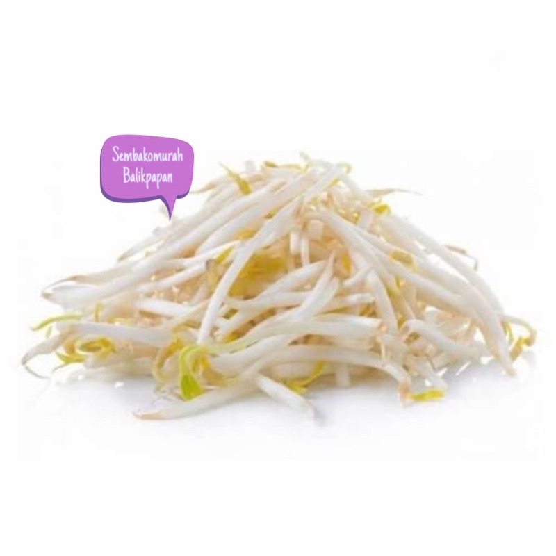 

kecambah panjang/tauge/toge