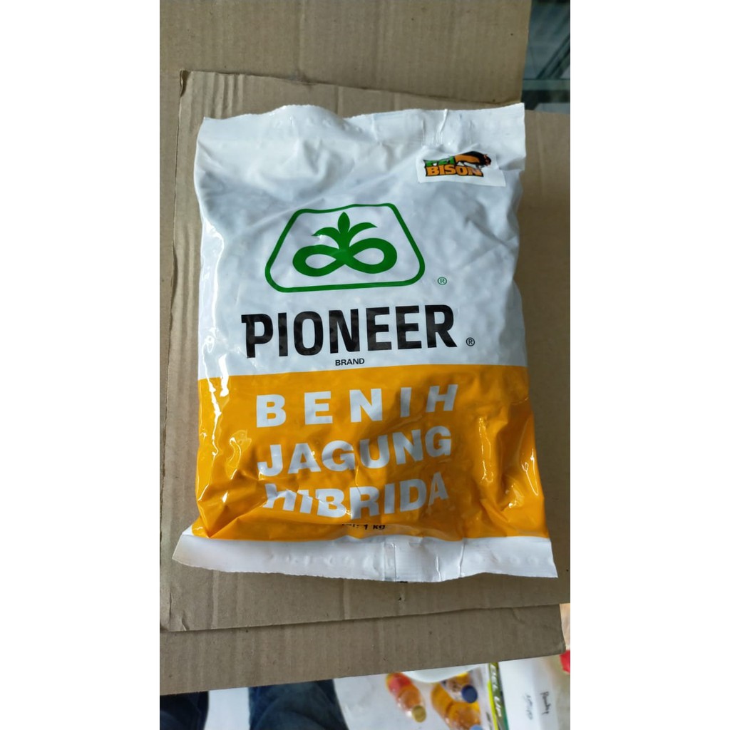 BENIH JAGUNG PIONEER P21