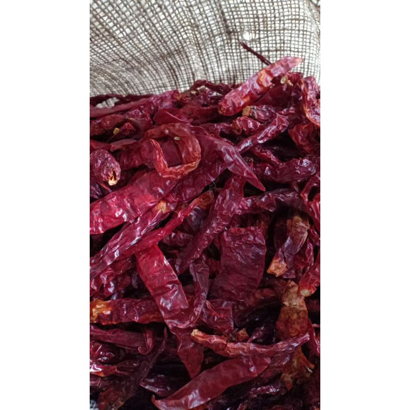 

cabe keriting kering kualitas super berat 500 gram