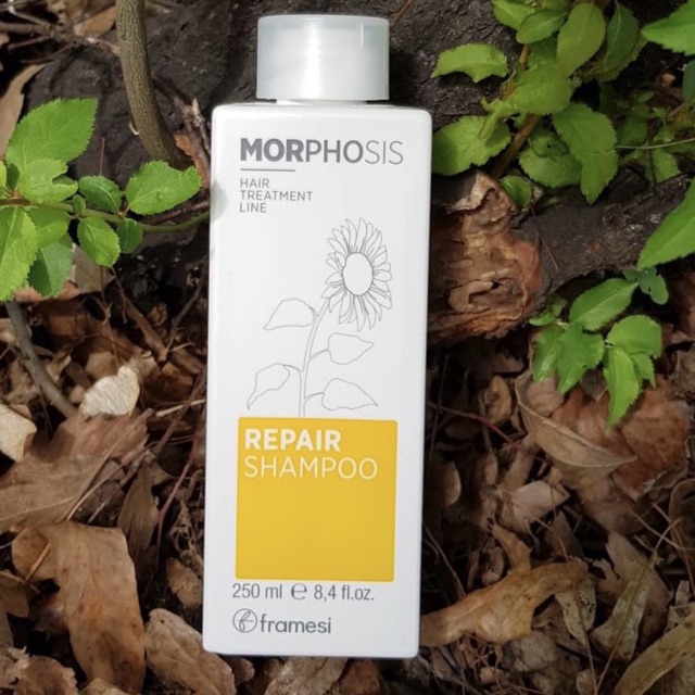 morphosis framesi repair shampoo 250ml