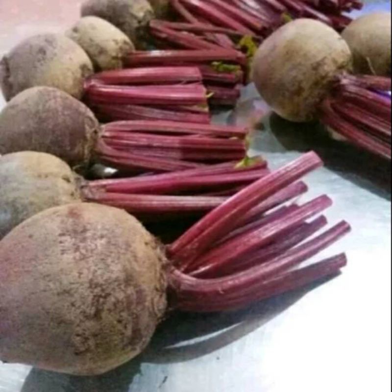 

buah bit atau beetroot fresh 1 kg