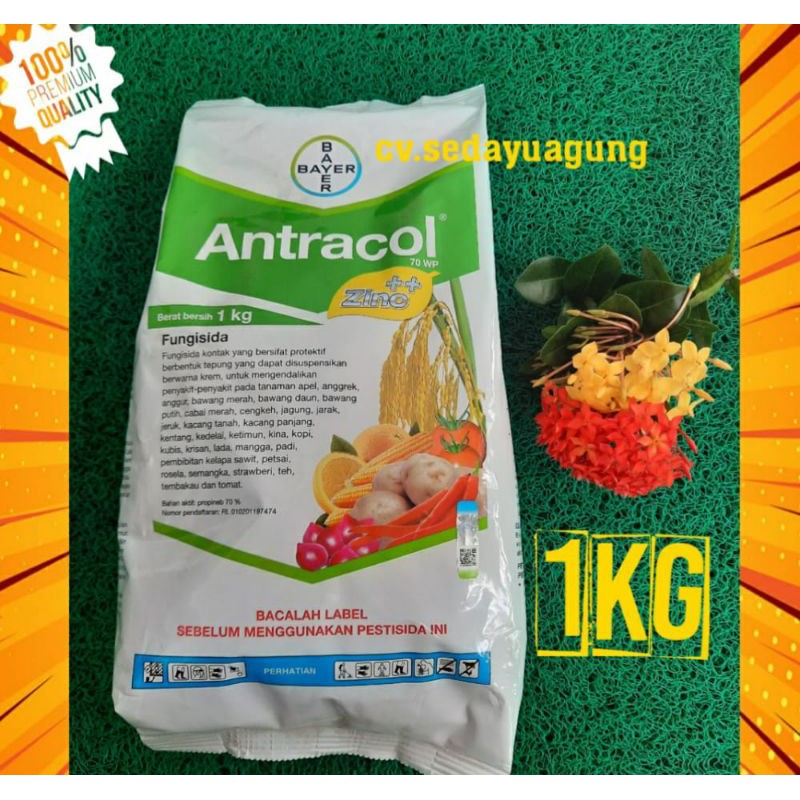 FUNGISIDA KONTAK ATRACOL KEMASAN PABRIK 1KG