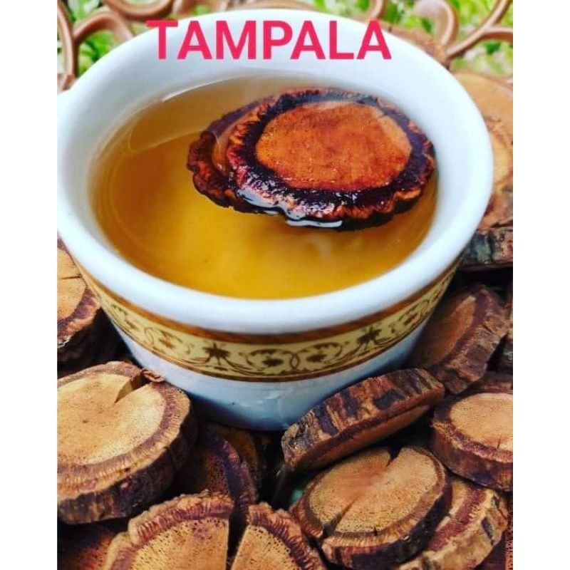 

Grosir akar Bajakah tampala super premium grade A, 200g,500g,1kg,Original 100%