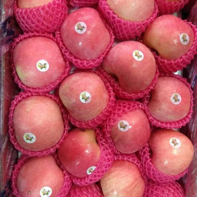 Buah Apel all varian /kg