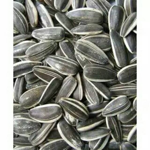 

Kuaci kemasan 1kg