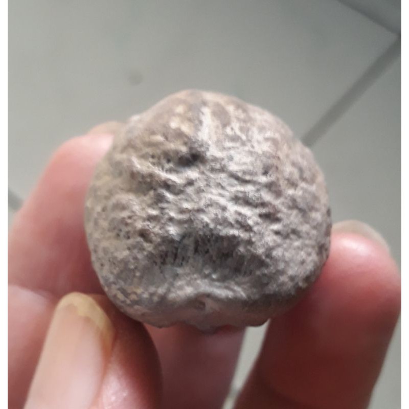 Muncang Adu Yanti Dahdir JR