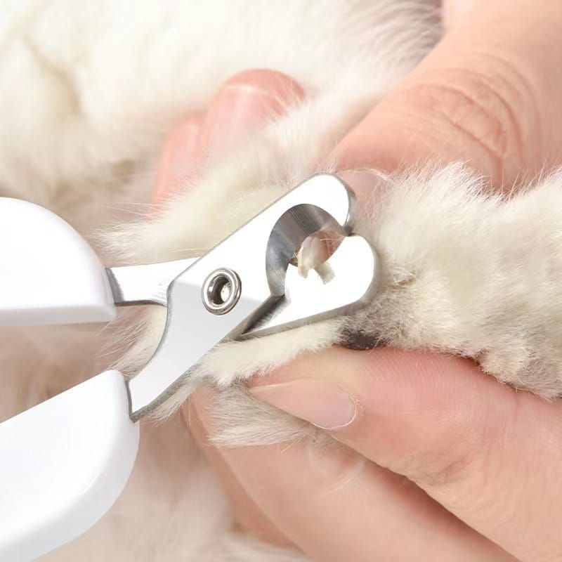 Gunting Kuku Pemotong Kucing Anjing Hewan Set Grooming Alat Potong Kikir Murah Bagus Pet Nail Cat Dog Kitten Kecil Besar Cutter FEZONE