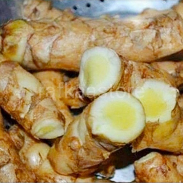 

KUNYIT PUTIH SEGAR OBAT KANKER