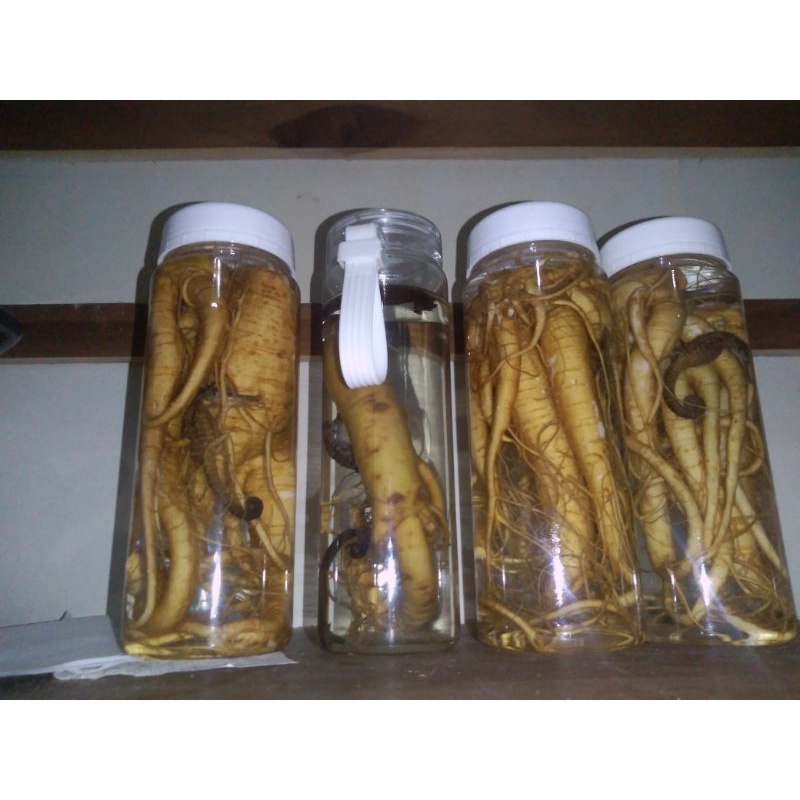 

rendaman gingseng 450 ml