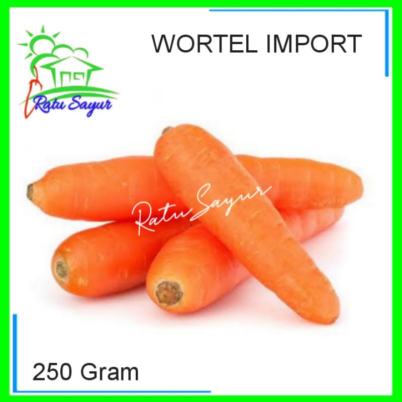 

WORTEL IMPORT/ratusayur.id