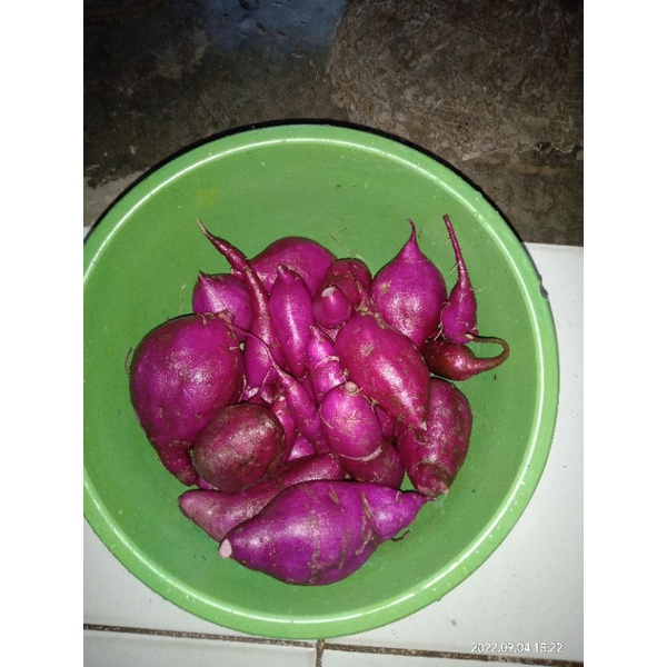 

ubi ungu 1kg