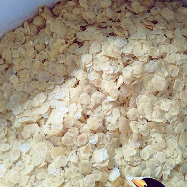 

EMPING MELINJO 500gr